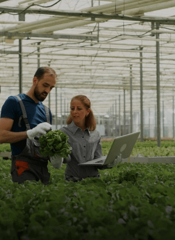 african-man-harvesting-vegetables 1